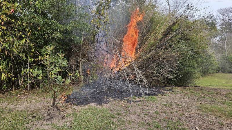 Firefighters responded to a brush fire on Bill Prewitt Road started by a neighbor's burn pile.